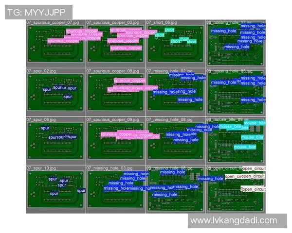 广州极限运动队力量表现数据分析与训练策略探讨